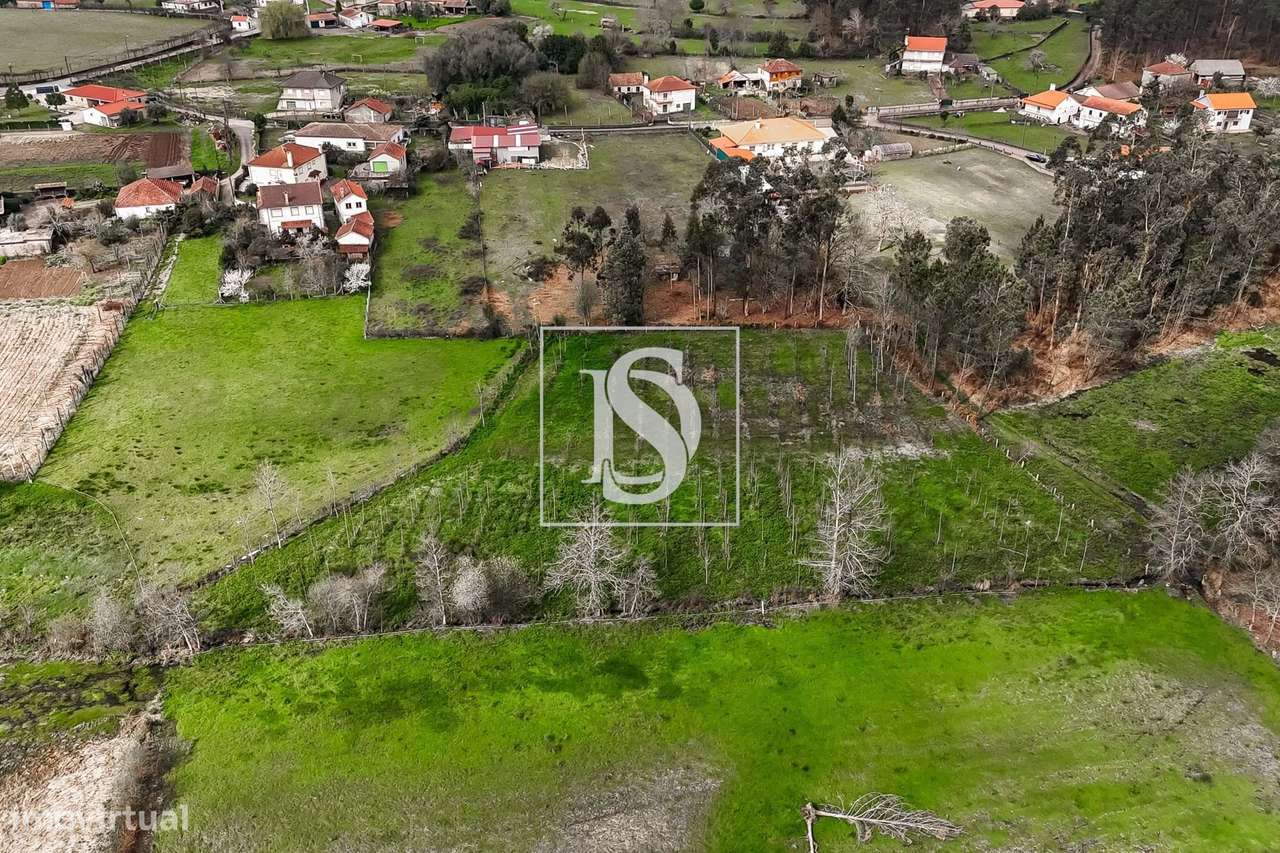 Terreno PLANO, agricola, para venda! - Grande imagem: 5/21