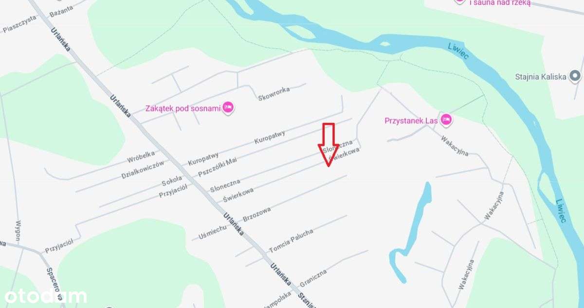 Działka nad Liwcem - Iły k/Urli - 1349 m²-4