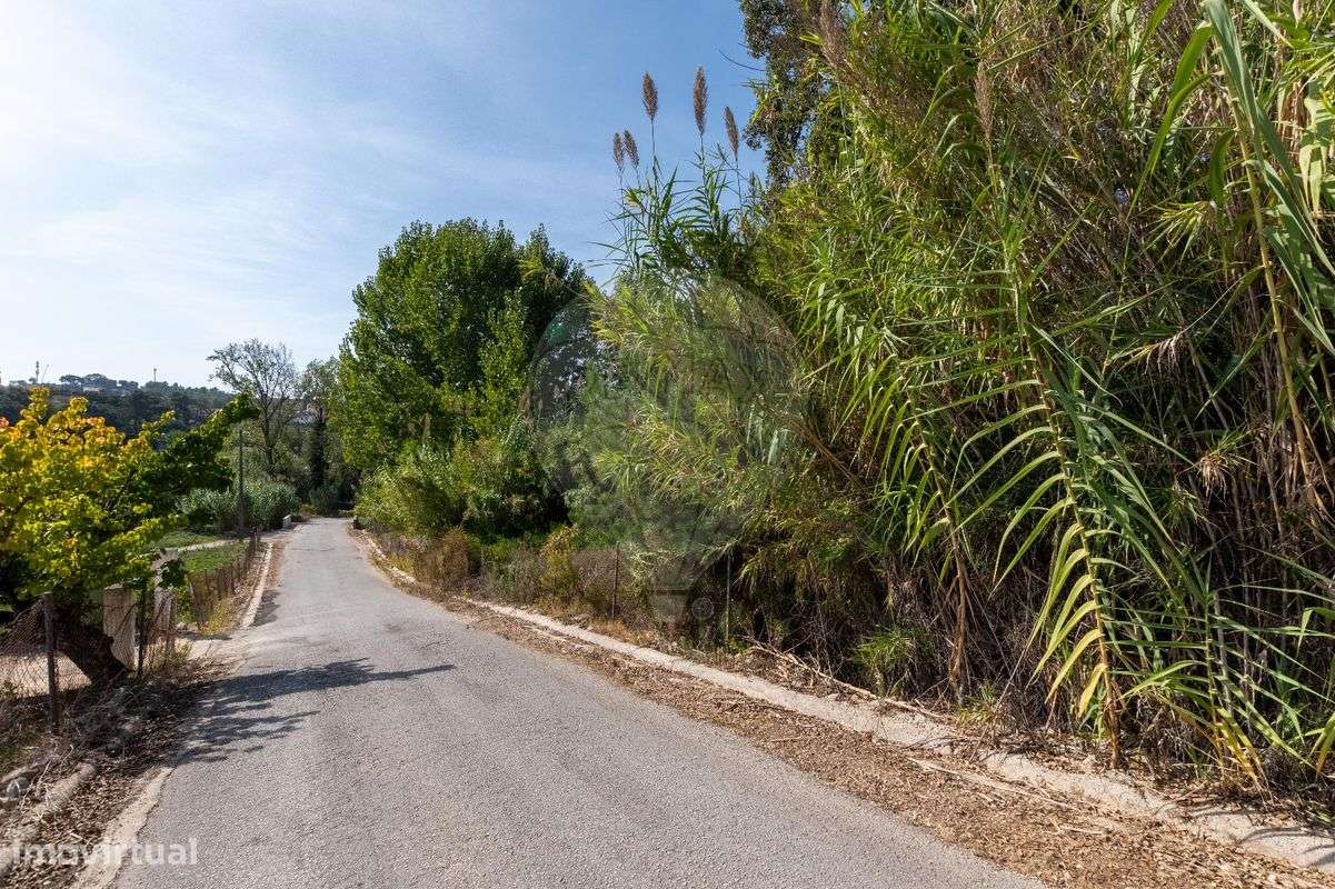 Quinta T3 para venda - Grande imagem: 3/50