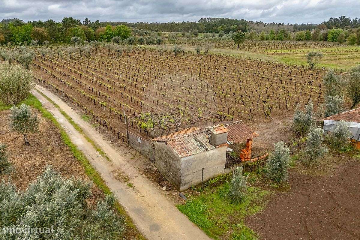 Terreno  para venda - Grande imagem: 3/16