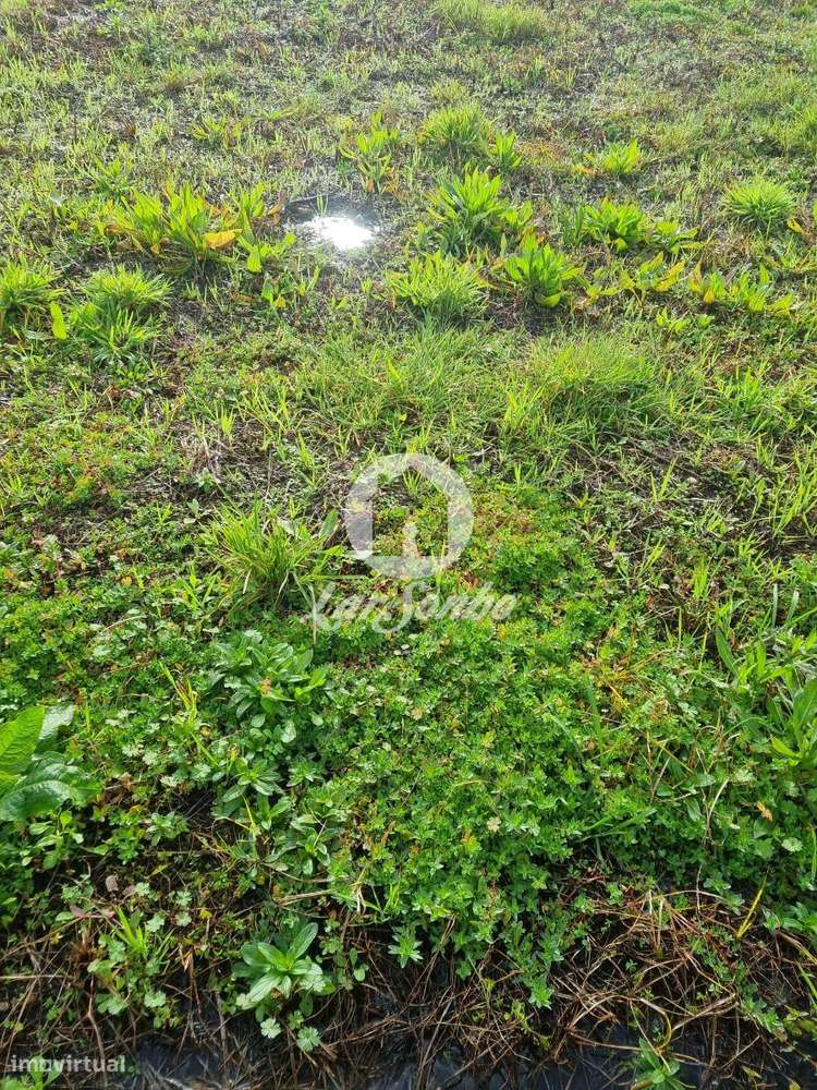 Terreno Urbano em Barcelos - Grande imagem: 2/15