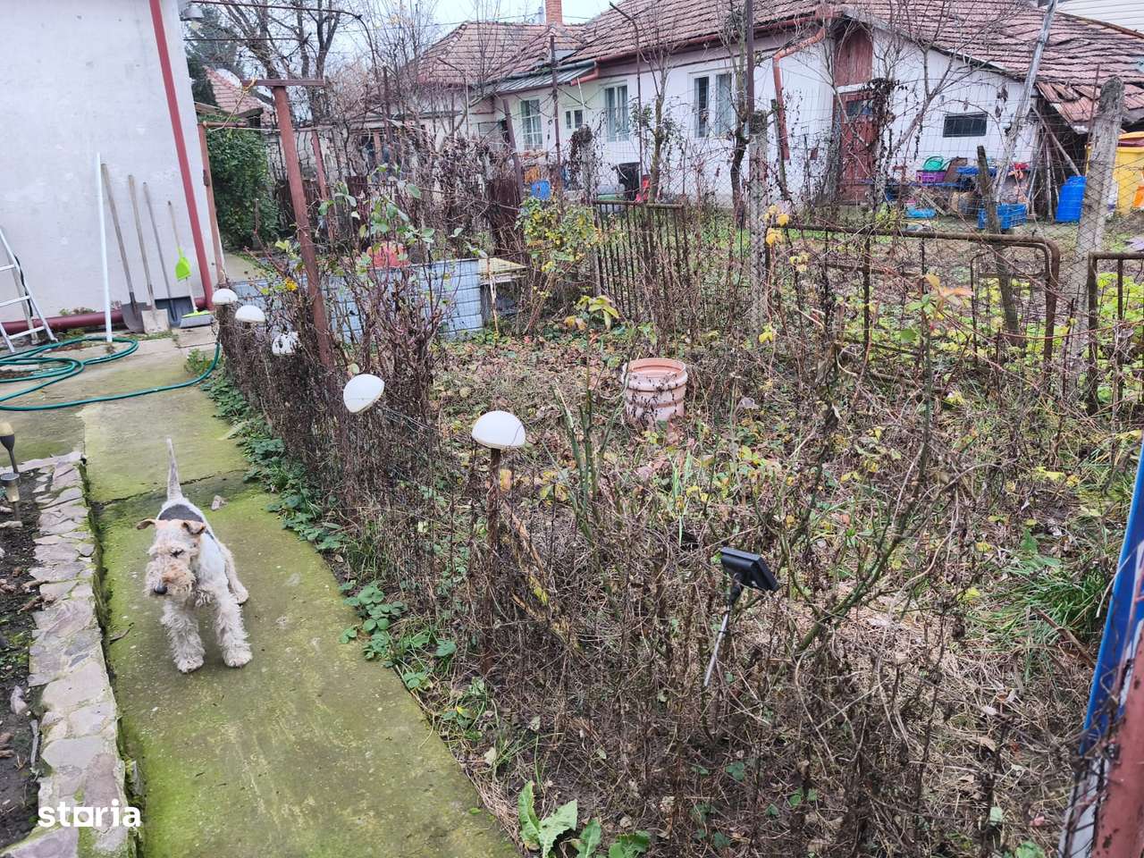 Casa de vanzare in Cartierul Unirii, Targu Mures-12