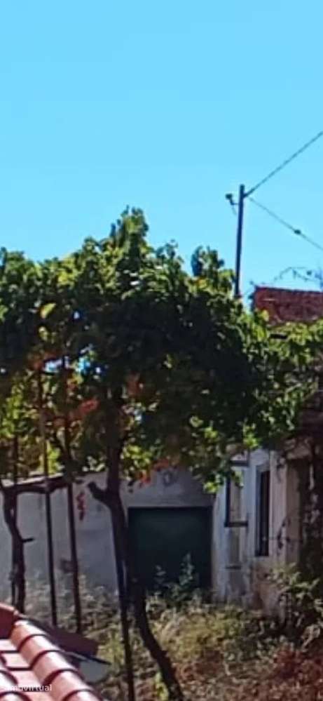 Moradia em Ruina T2 em Tomar - Grande imagem: 4/8