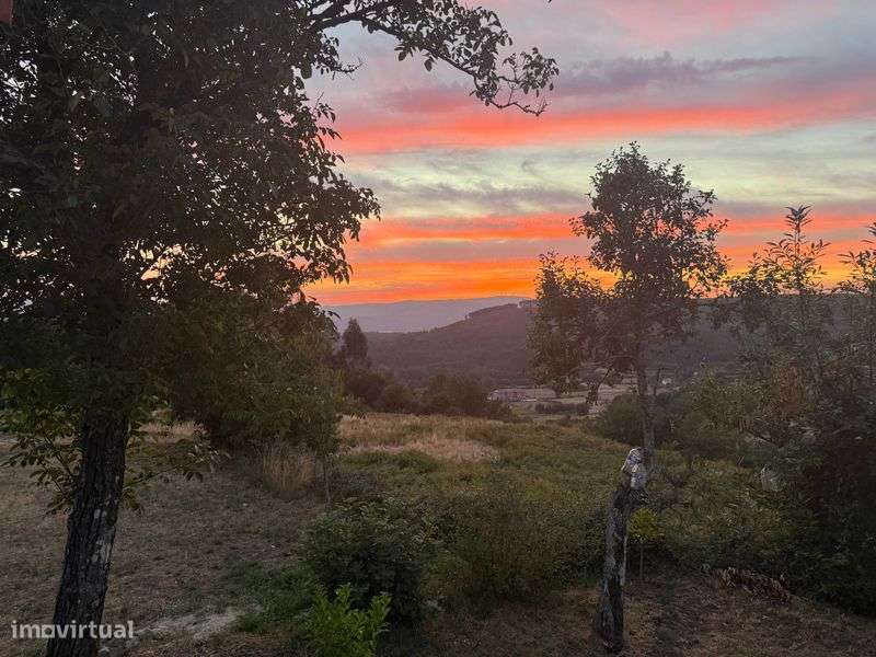 Casa para Alugar festival Paredes de Coura, 12 a 16Agosto 2026 - Grande imagem: 4/12