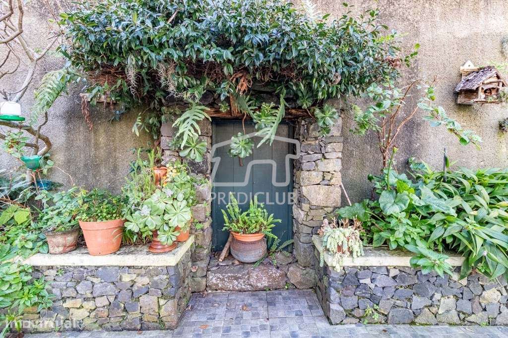 Moradia T4 + Apartmento T1 - Curral das Freiras - Grande imagem: 5/37