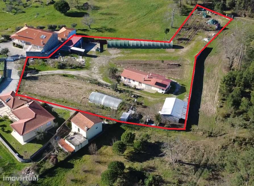 Quinta com Moradia T2 | Fornos de Algodres-17