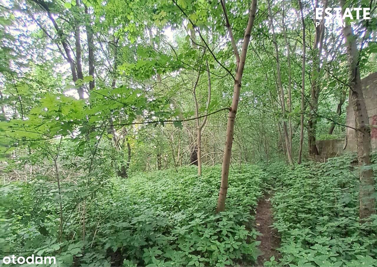 Działka z bogatą historią tuż nad jeziorem - Pełny obrazek: 5/6