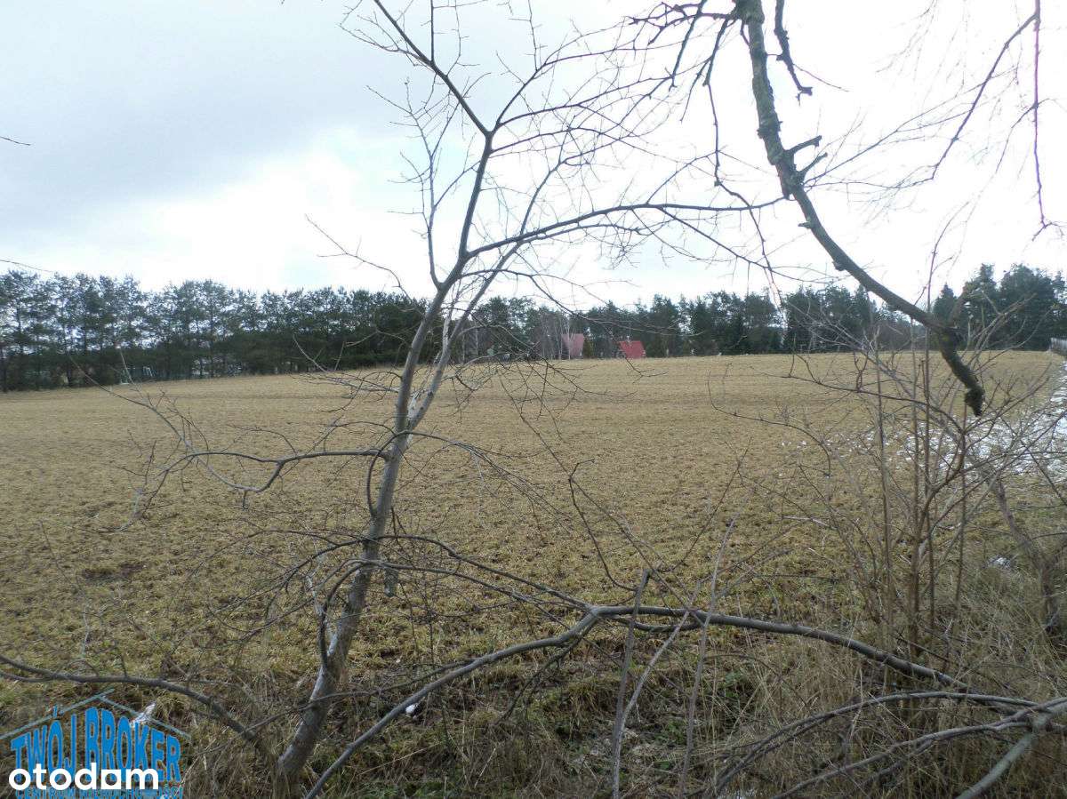 działka budowlana nad jeziorem - Pełny obrazek: 5/14