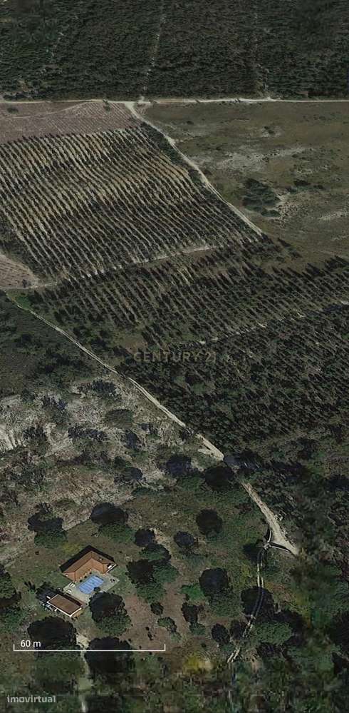 Terreno Rústico | 2 Hectares (20 000m2) | Santo Isidro de Pegões | Pot-5