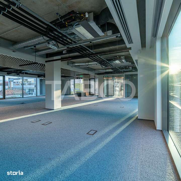 Birouri premium in Sibiu–Spatii flexibile moderne pentru companii TO - Imagine principală: 4/17
