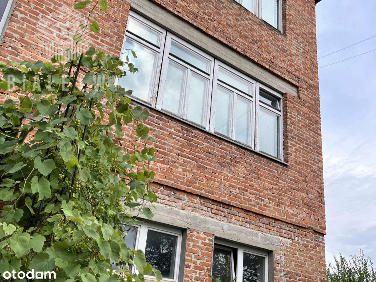 Wielofunkcyjny budynek 1000m i  działka 7600 m - Pełny obrazek: 4/15