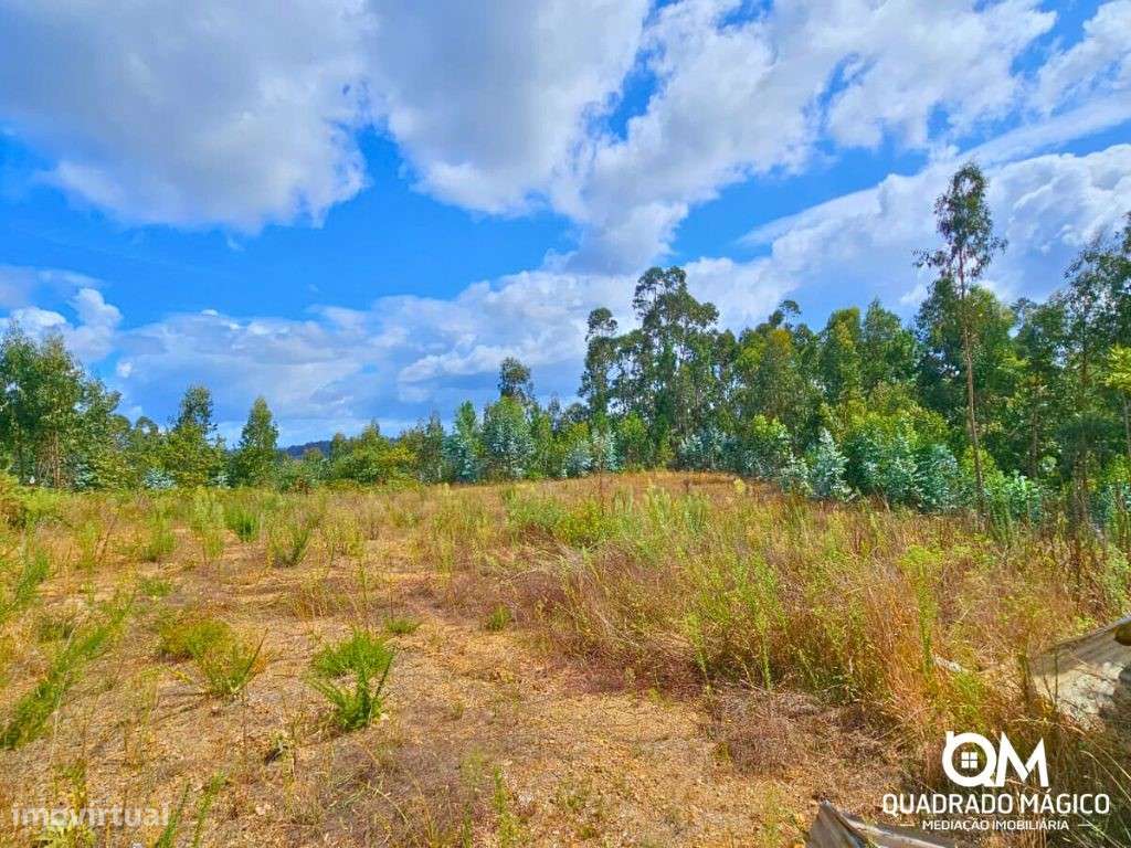 Terreno urbanizável com 1870m2 a 1km das Termas das Caldas de São J...-21