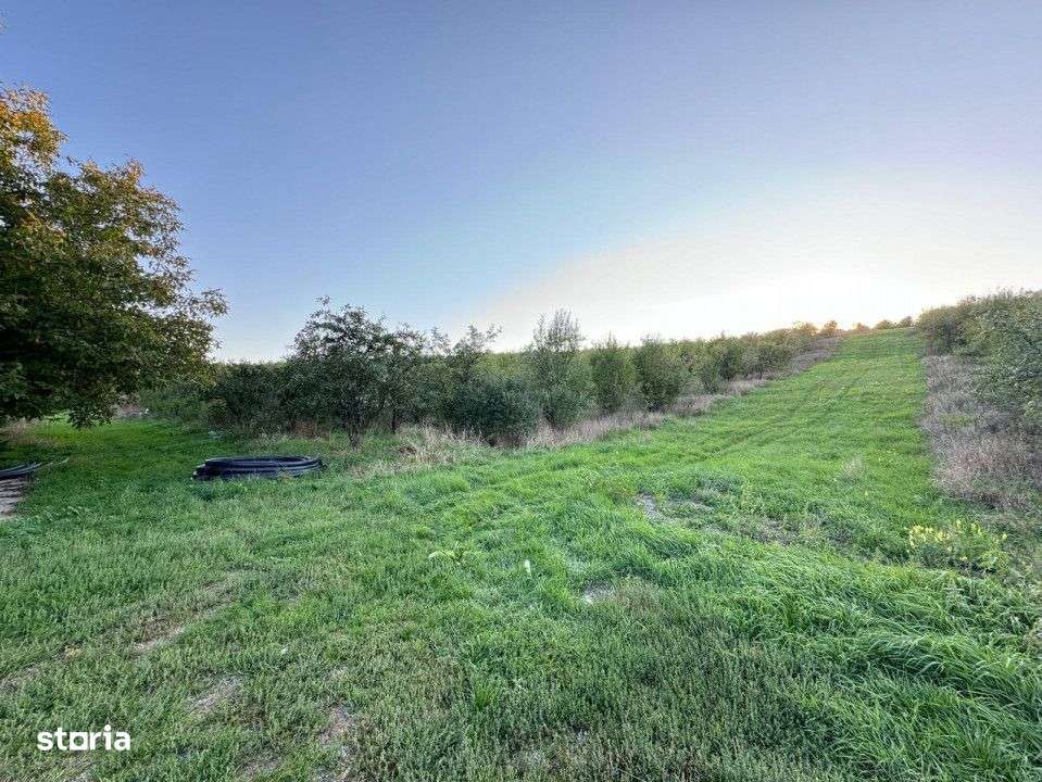 Vanzare Teren Intravilan 800 mp Visani Sf. Ilie PUZ Casa D+P+E - Imagine principală: 3/5