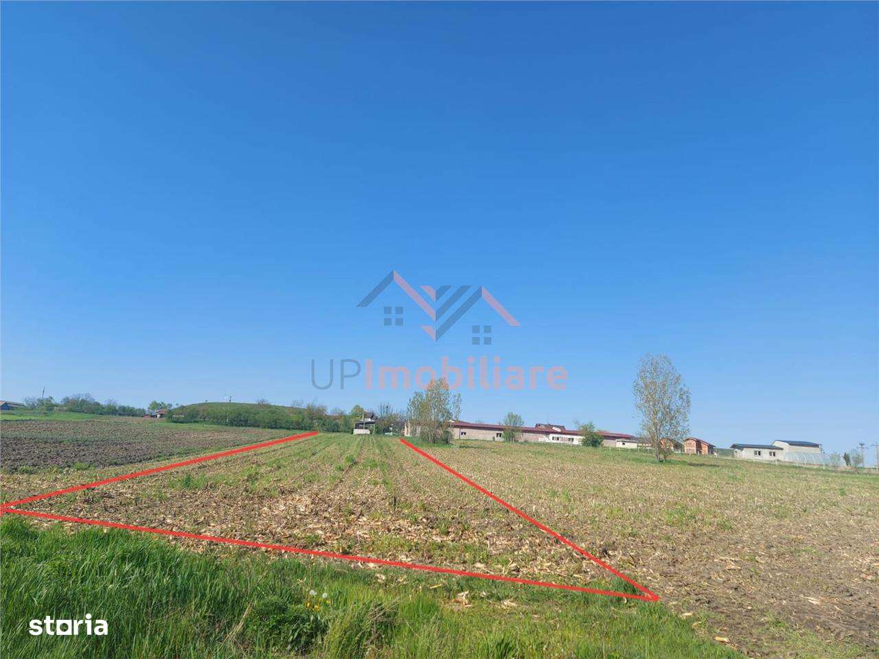 TEREN INTRAVILAN | 4300 MP | HIDISELUL DE SUS | BIHOR - Imagine principală: 2/7