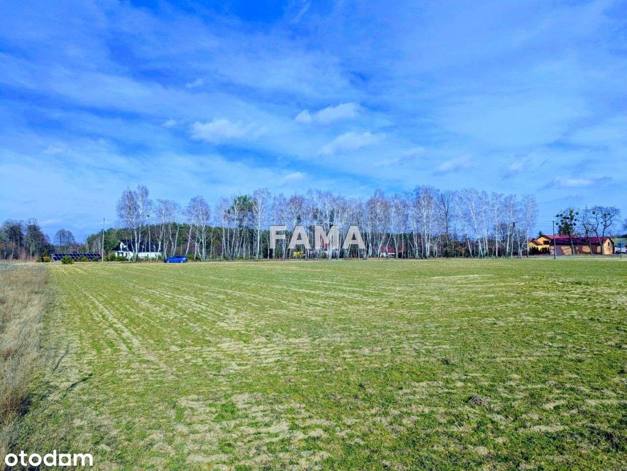 7835 m2, Kosinowo, Włocławek, blisko las, asfalt - Pełny obrazek: 5/5