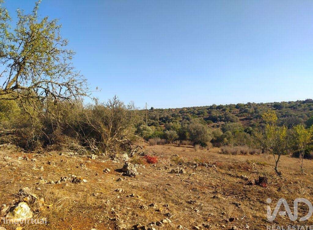 Terreno de Lazer em Bensafrim e Barão de São João de 6240,00 m2 - Grande imagem: 3/11