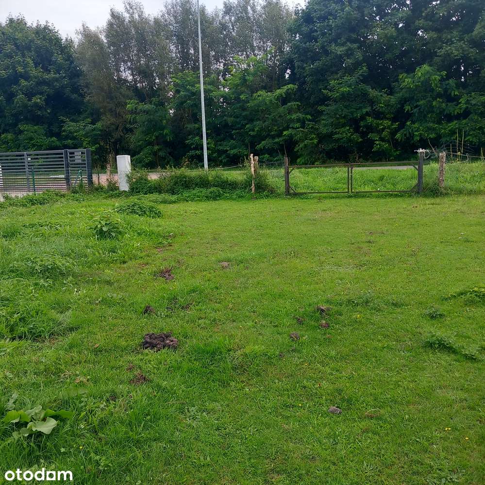 Przy działce rzeczka, las, asfaltowa droga, pozwolenie na budowę media - Pełny obrazek: 5/11