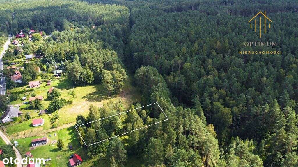 Cisza, jezioro, las – działka marzeń w Dłużku - Pełny obrazek: 4/8