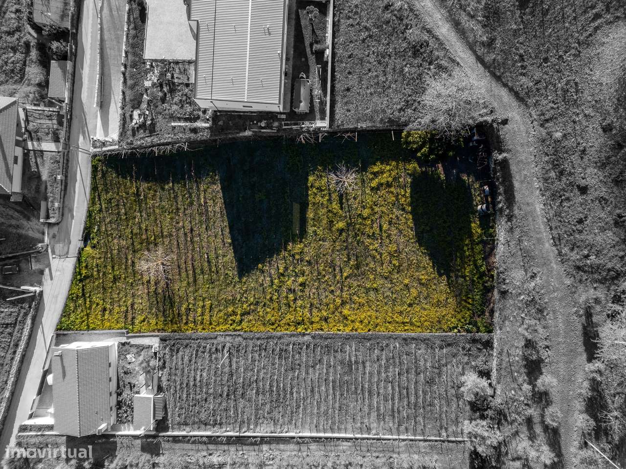 Lote P/ Construção / 2000M2 / V. Nova Souto Del Rei / Arneiros / Lameg - Grande imagem: 5/10