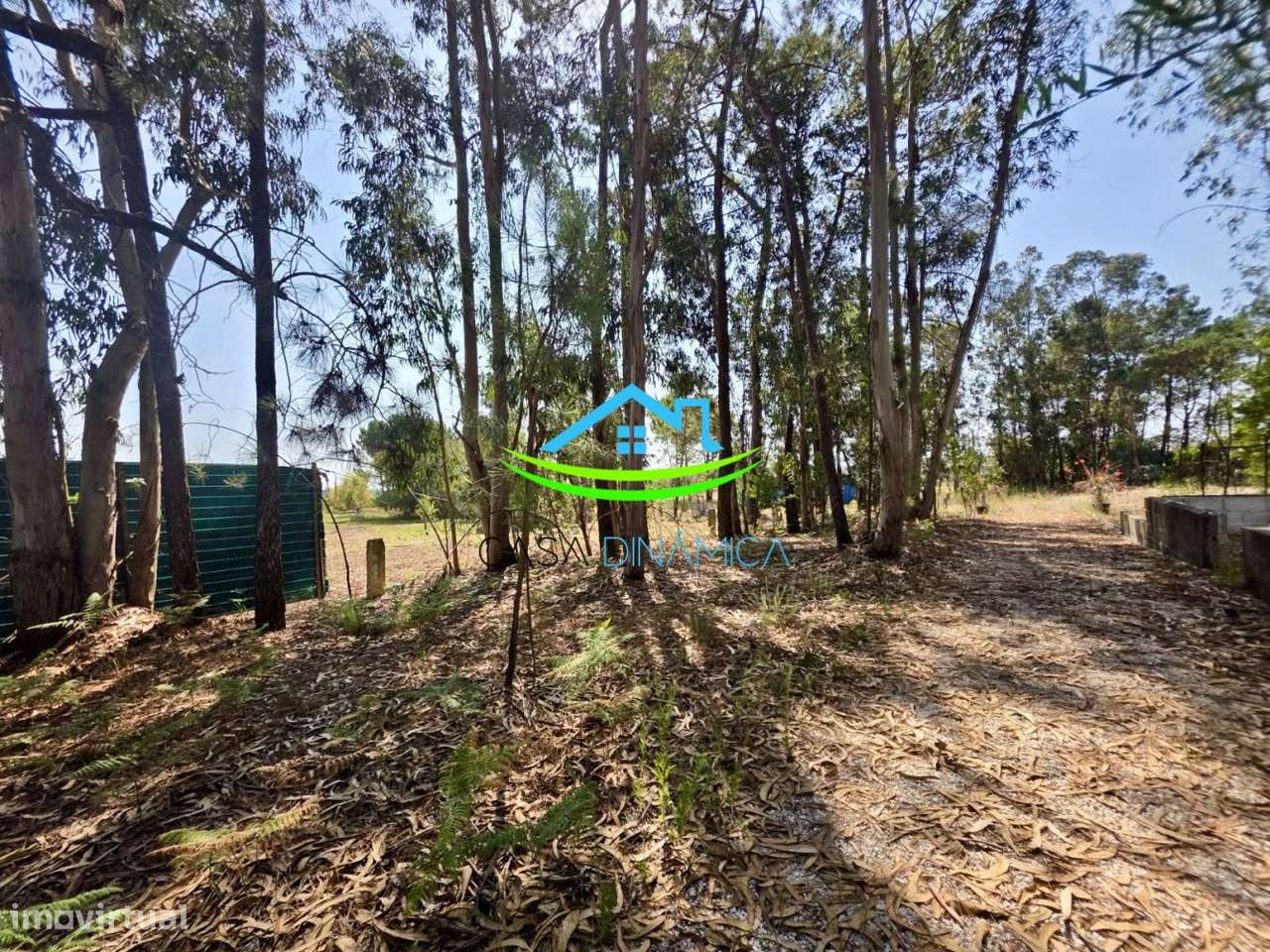Terreno com 8.369 m² e possibilidade de construção – Arazede, Mon-19