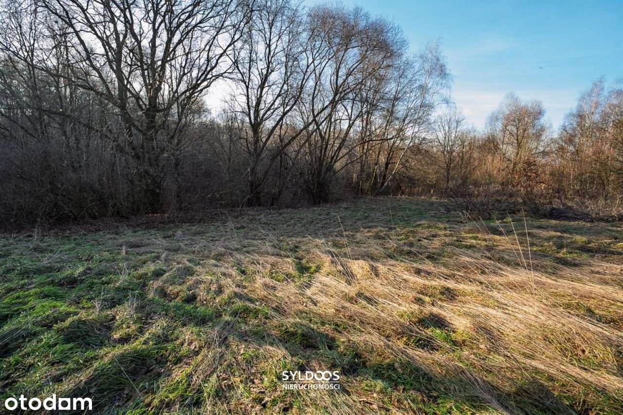 Wrząsowice - Spełnij marzenie o domu przy lesie-13