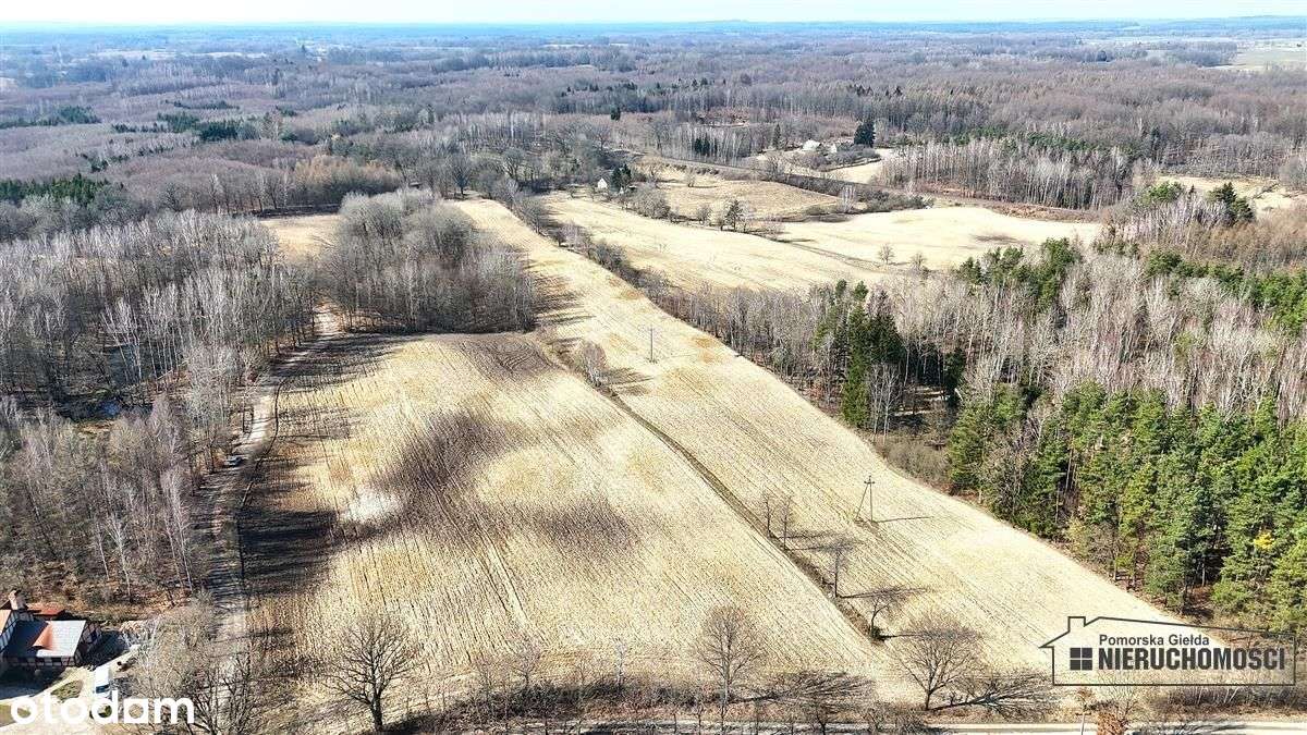 Grunt siedliskowy w otoczeniu lasu ok. 2,5 km od J - Pełny obrazek: 3/20