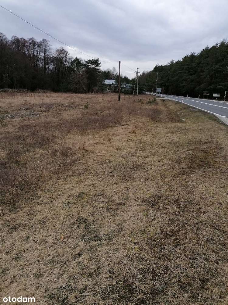 Działka w Teofilowie - Pełny obrazek: 3/5