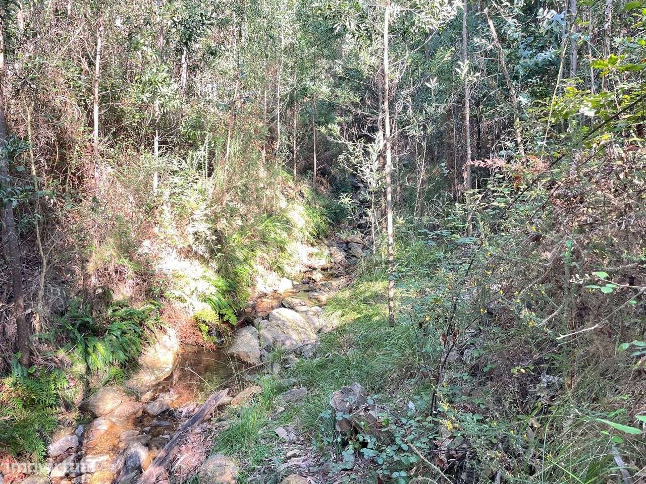 Terreno Localizado em Varziela - 75 000m2-7