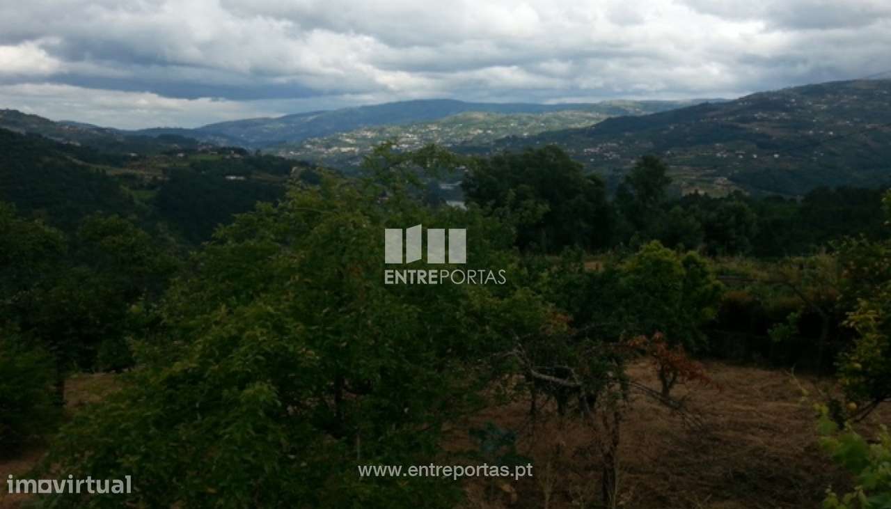 Venda Terreno, Ancede, Baião - Grande imagem: 2/4