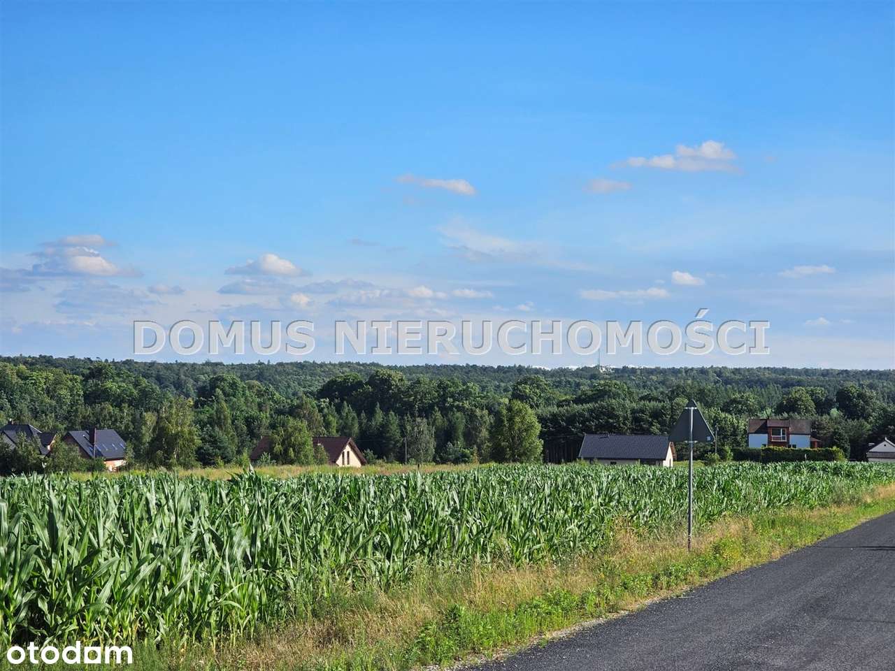 Działki na wzniesieniu Tworzyjanki - Pełny obrazek: 4/10