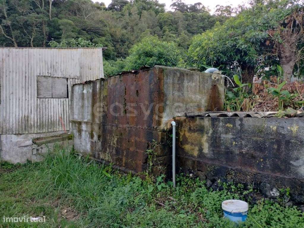 Invista no Campo - Terreno Ideal para Exploração Agrícola e Suína - Grande imagem: 5/22