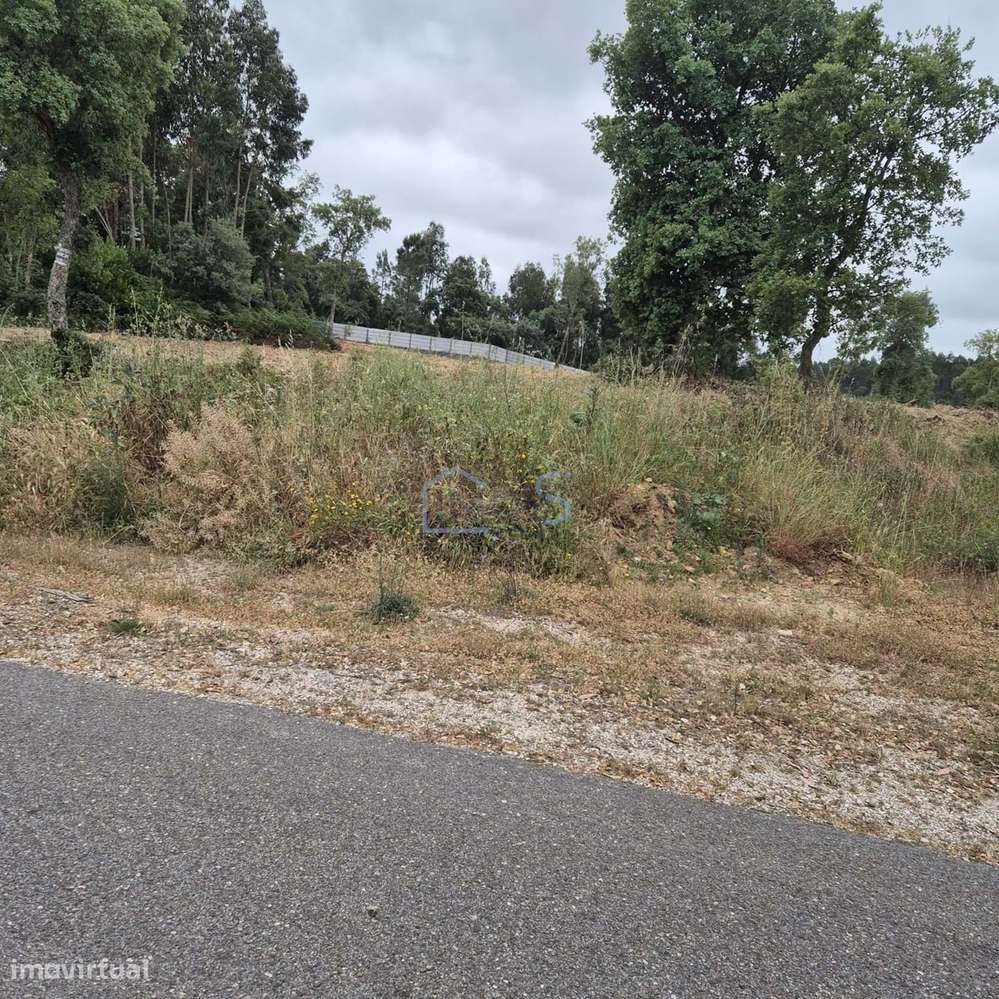 Terreno com 4.560 m² e Viabilidade de Construção – Casais, FZZ-11