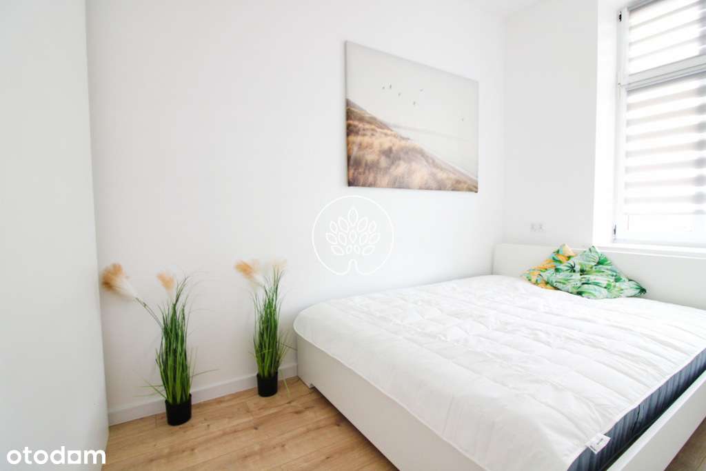 2 pokoje Bydgoszcz odnowiona kamienica - Pełny obrazek: 5/9