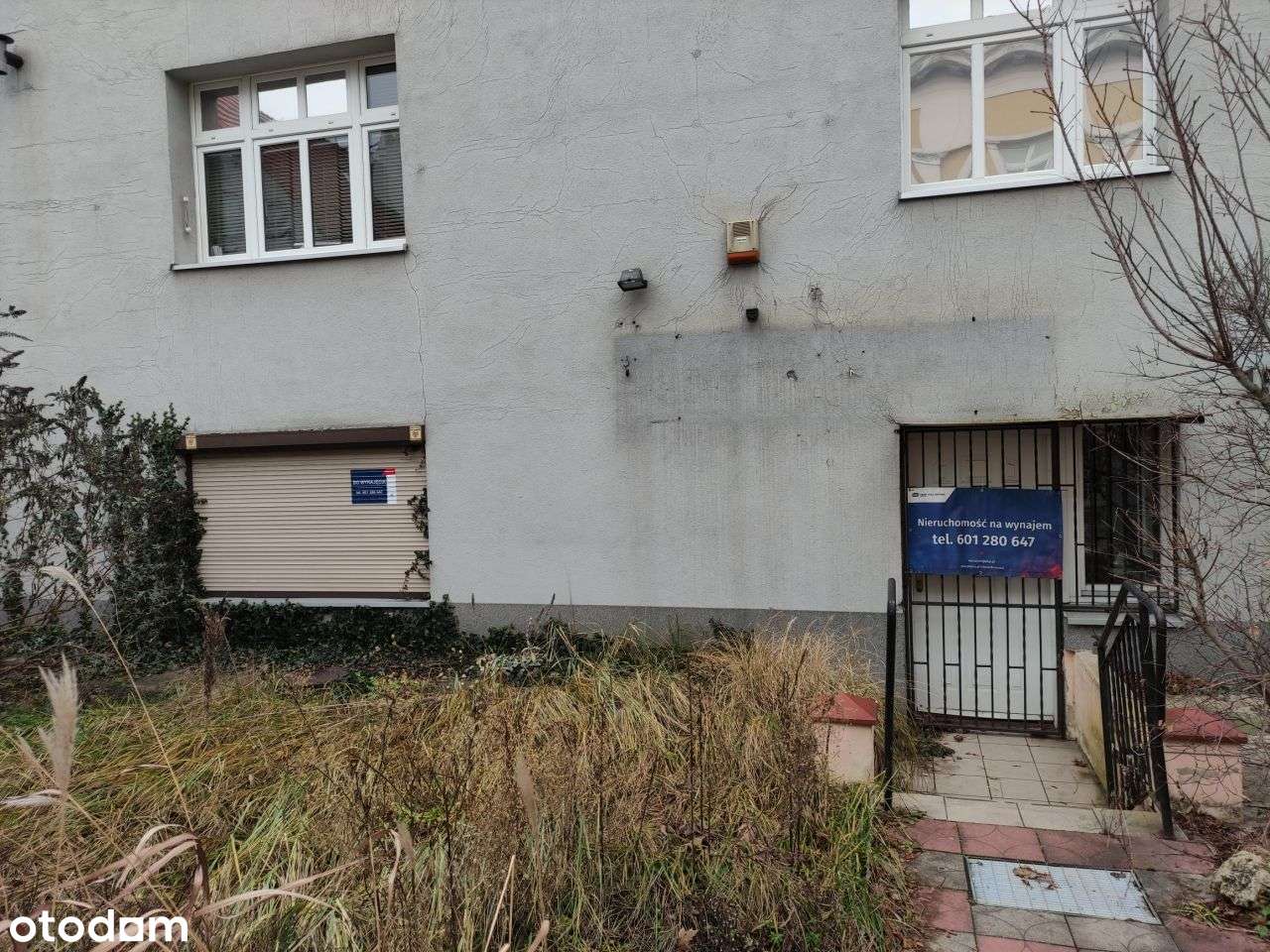 Lokal użytkowy Opole, ul. Niedziałkowskiego - Pełny obrazek: 3/6