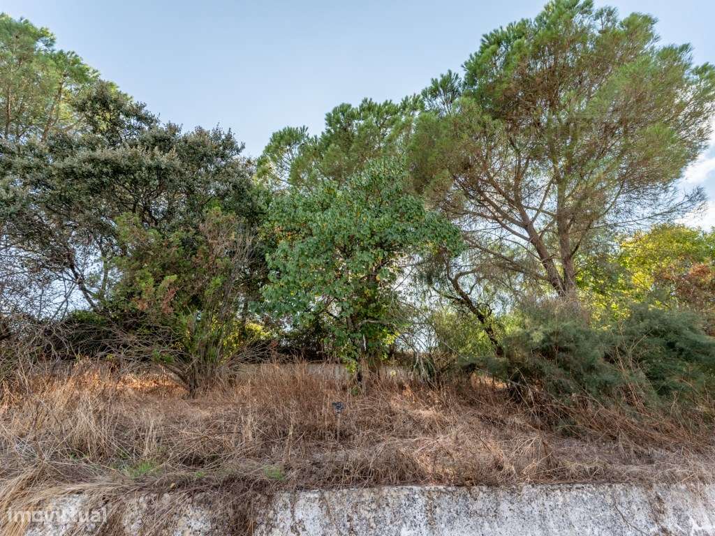 Quinta Rústica em Évora-43