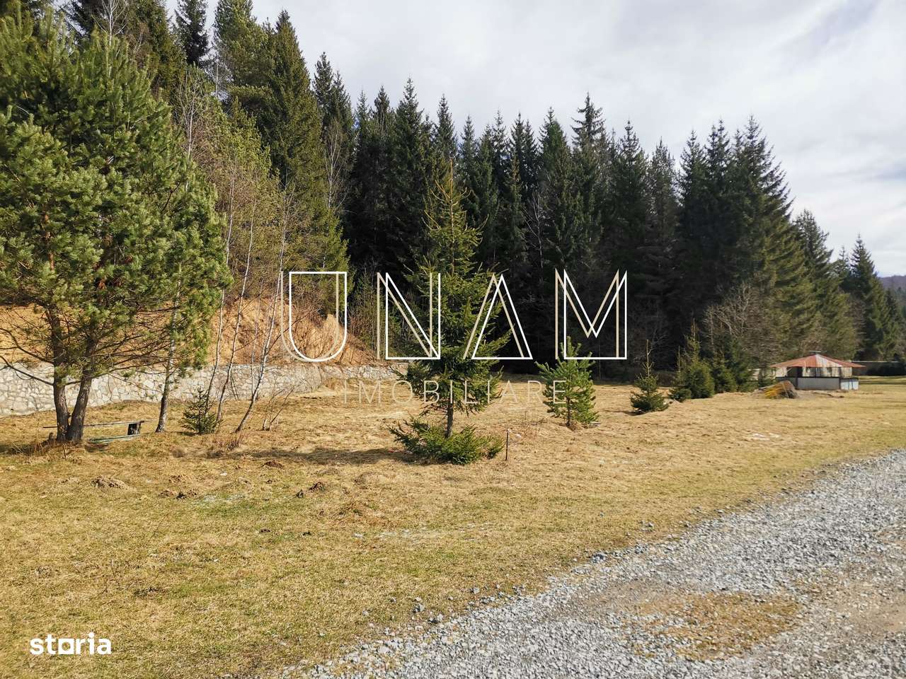 ***OFERTA NOUA*** Teren lângă Scenă, în Poiana Lupului, Gărâna-19