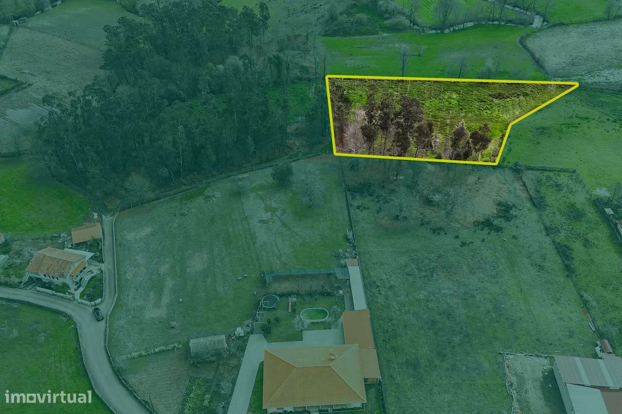 Terreno Rústico  Venda em Associação de freguesias do Vale do Neiva,Po-13