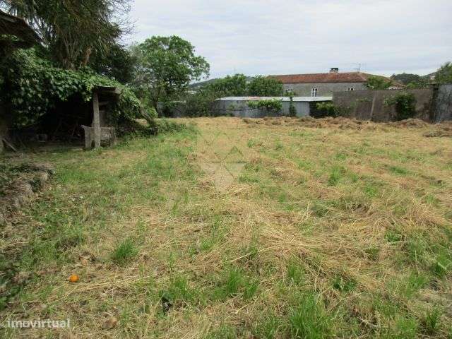 Quintinha para venda com moradia para restauro - Gandra - Grande imagem: 4/14