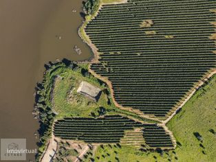 Terreno na Barragem do Maranhão em Avis - Grande imagem: 4/17