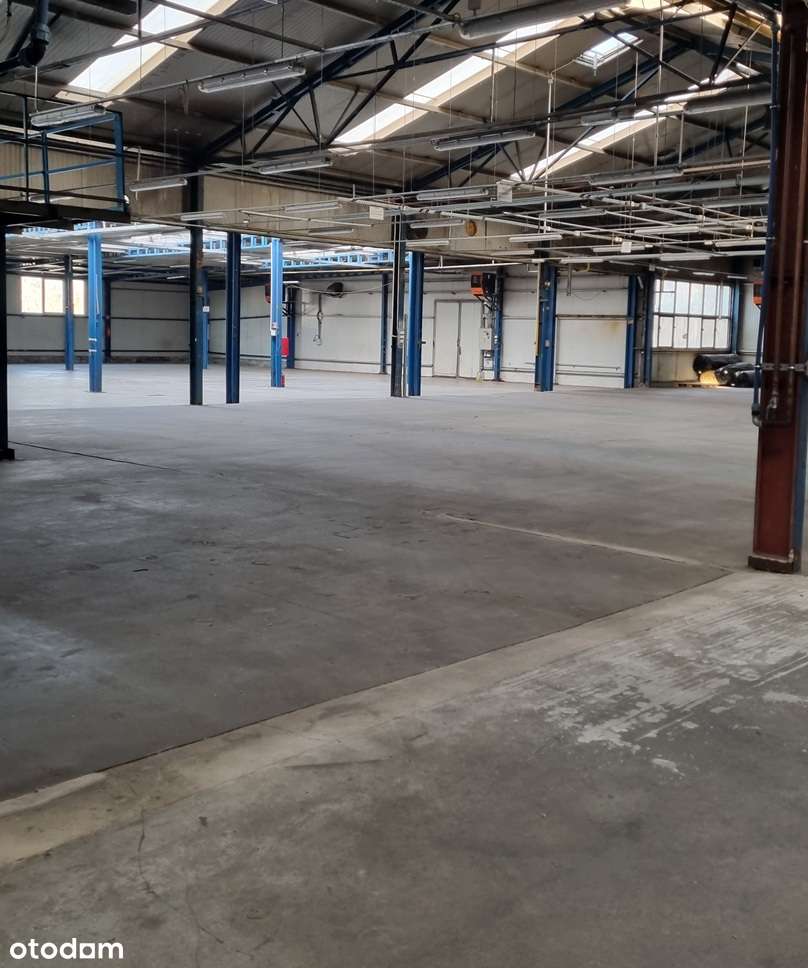 Poznań Smochowice obiekt 6100m2(hala produk-magazyn+biuro) dz.8450m2 - Pełny obrazek: 5/8