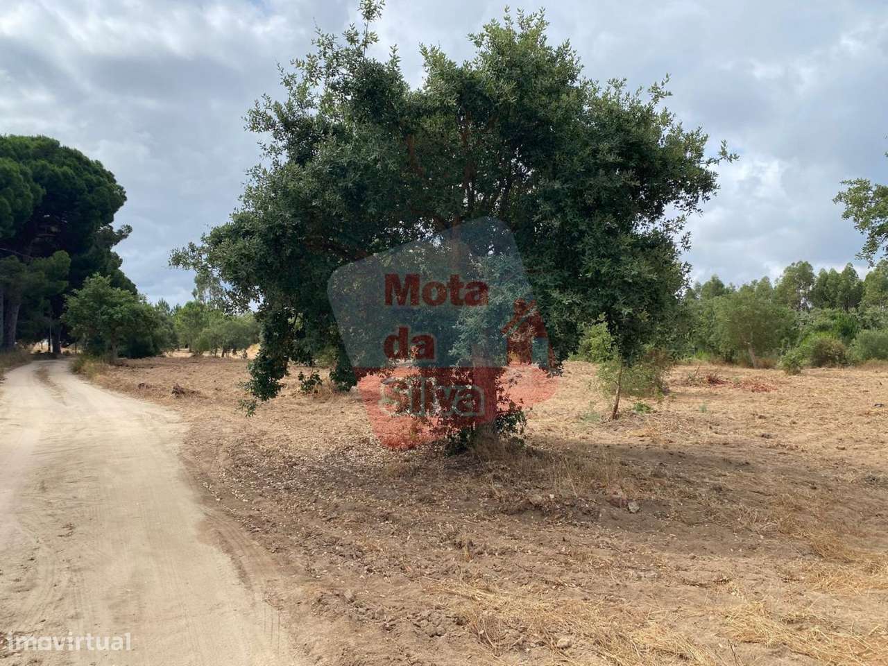 Excelente Terreno em Melides Valinho da Estrada - Grande imagem: 5/18