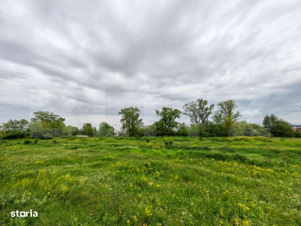 Teren intravilan 6010 mp, zona Sebes - Imagine principală: 3/6