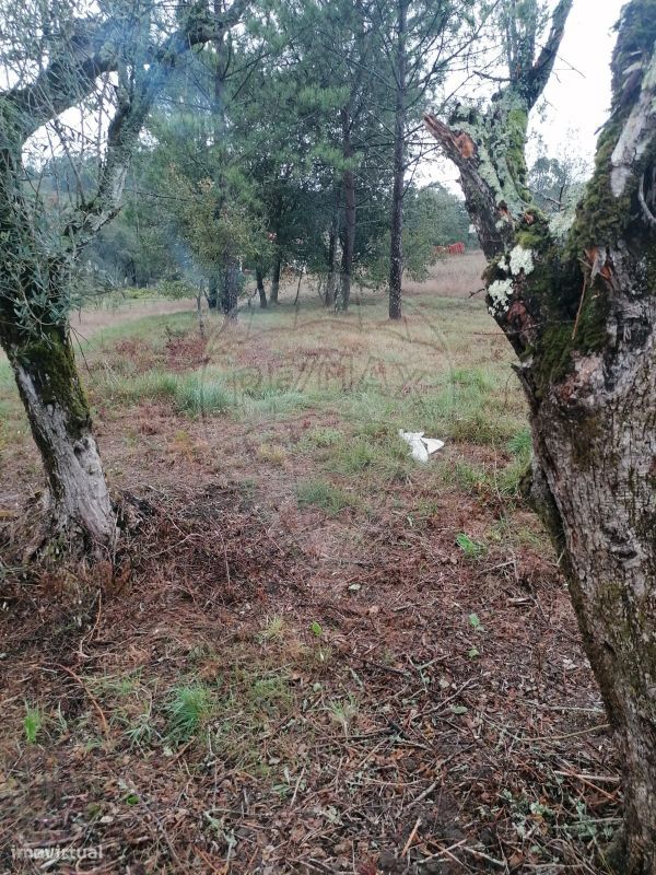 Terreno  para venda - Grande imagem: 3/3