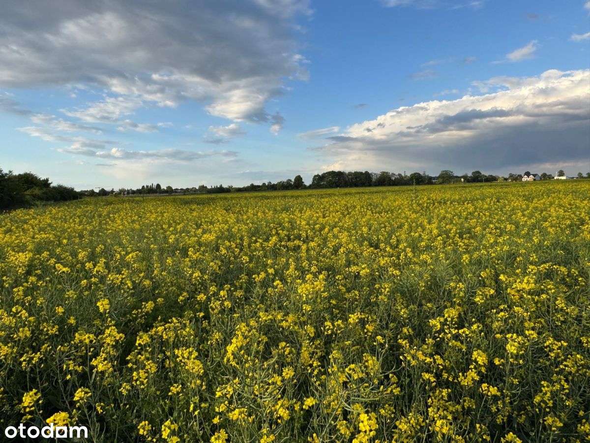 Działka z pozw. na budowę na piękny dom Żerniki Wr-8