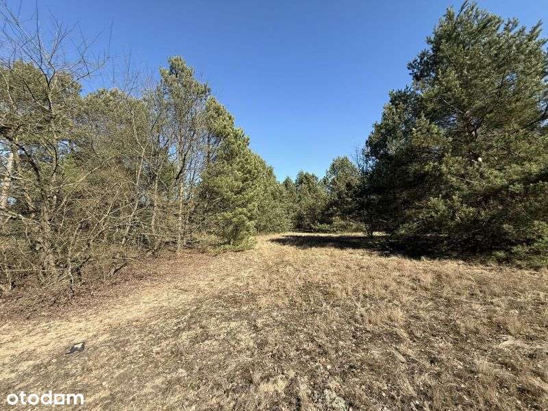 Działka z możliwością zabudowy blisko Gostynina - Pełny obrazek: 4/13