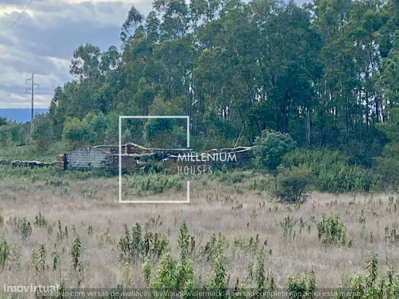 **Terreno Excecional em Sarnadas de Rodão**-4