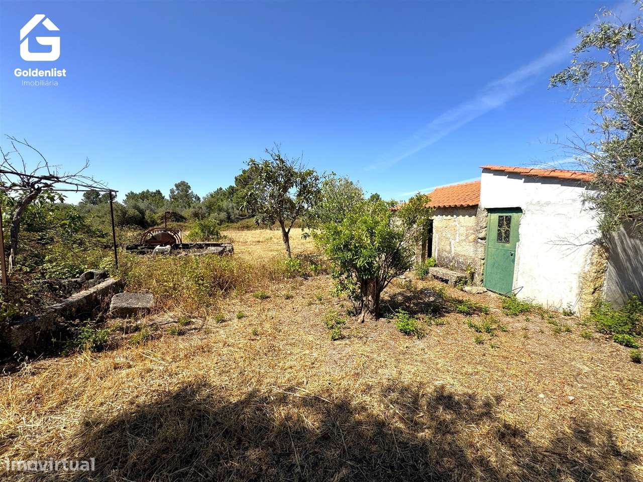 Quinta  Venda em Lardosa,Castelo Branco-37