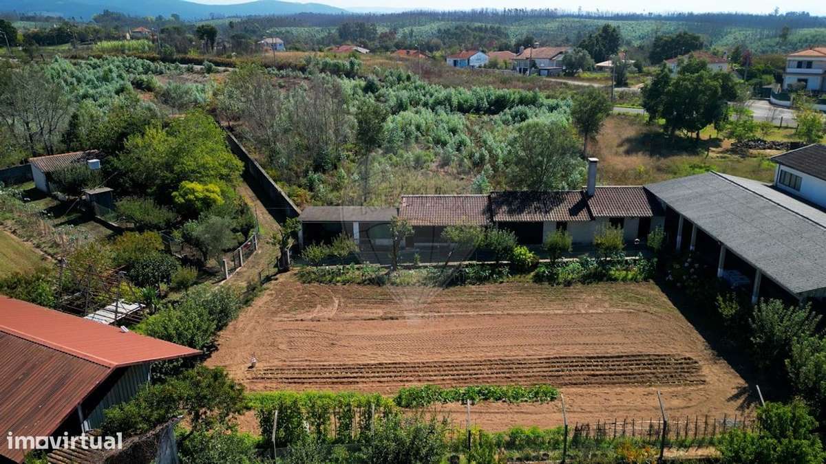 Moradia T3 | Anexo T1 | 628m2 | Lote 2140m2 | 10 min Centro Águeda - Grande imagem: 4/49