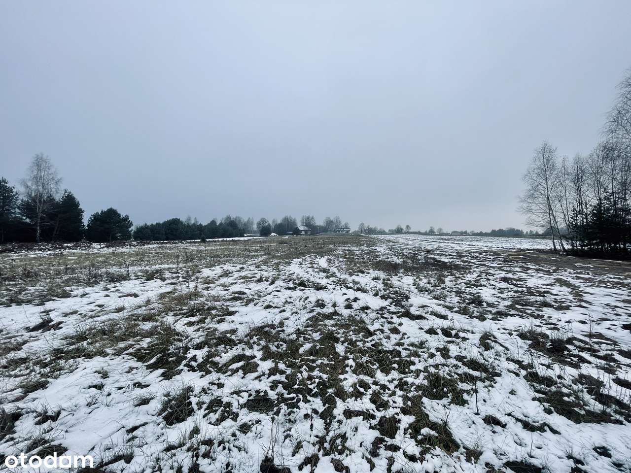 WZ | Media | Droga gminna | Prostokąt | Zalew w Radoszycach,park, lasy - Pełny obrazek: 4/19