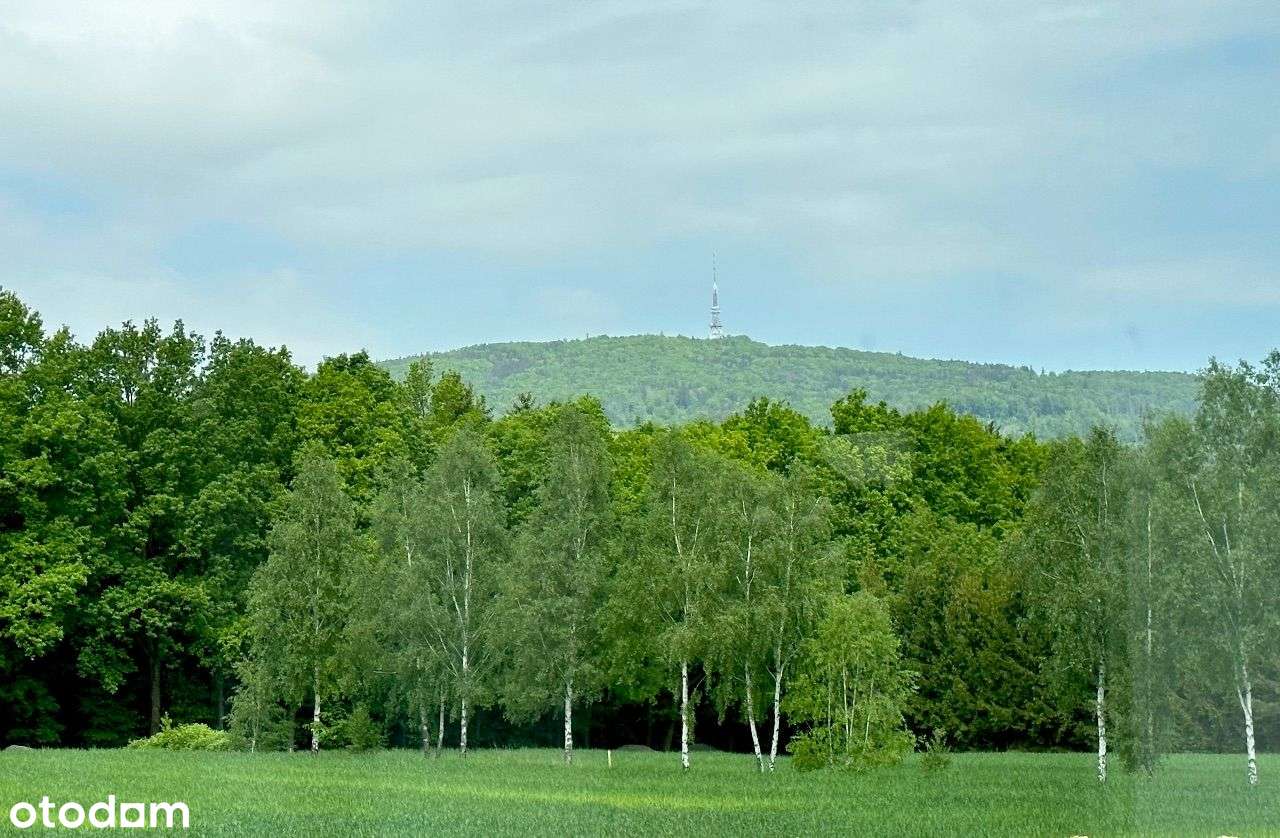 NOWA CENA!!! Rezydencja z 1ha ogrodu przy lesie-18